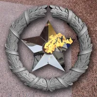 Венок вечный огонь чугун звезда нержавеющая сталь в Барнауле (518577)