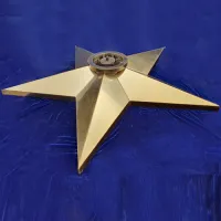 Звезда вечный огонь (1628) поставка комплект горелка ГВД 379 10 89 00 ПС ø 1100 мм. пустотелая  в Барнауле